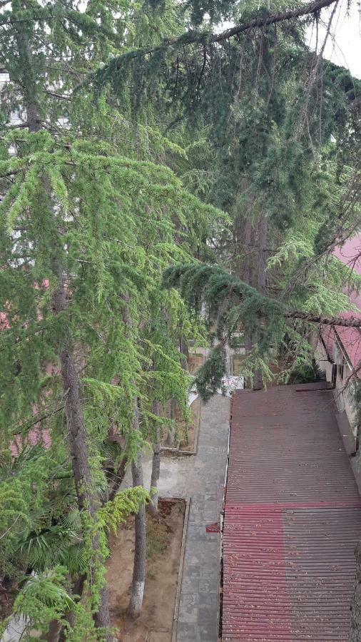 Апартаменты Орион Sukhumi Esterno foto